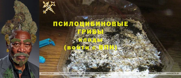 хмурый Арсеньев