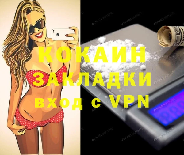 хмурый Арсеньев
