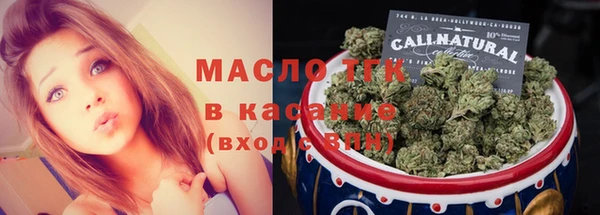 хмурый Арсеньев
